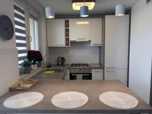 Ekskluzywny Apartament Joanna w centrum Bochni