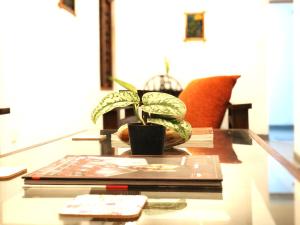 Bamboo Grove Cottages