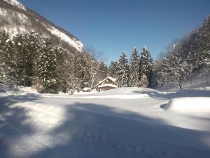 al Profilo di Napoleone