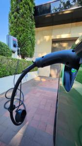 Ferienwohnungen - Villa am Park