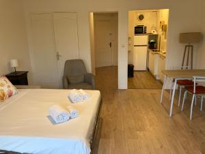 Grand studio pointe croisette