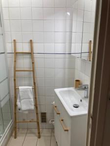 Grand studio pointe croisette