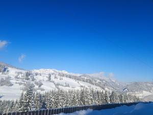 Apartment Hochkönigblick Pilzegg
