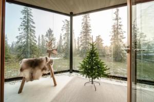 Aurora Chalet B5 Ski-in Ski-out, Mountain View by Aavalevi