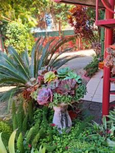 Pousada Estrela do Mar