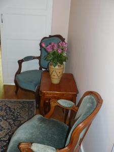 Retour aux sources Vichy