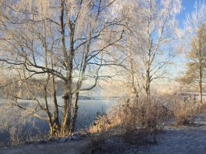 Easy living riverside in Arctic Circle