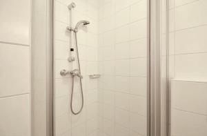 Kitzsteinhorn Panorama Apartment