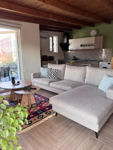 Terrace Escape Studio