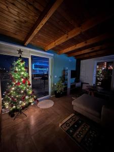 Terrace Escape Studio