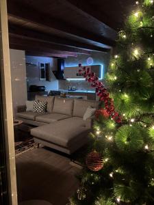 Terrace Escape Studio