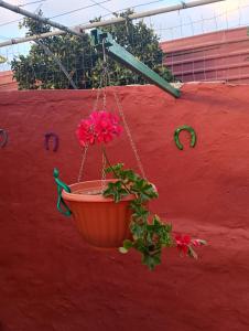 CASA GRANDE FINCA EL CALABRES