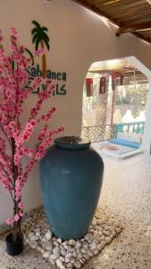 Casa Blanca - calm space for soul revival