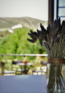 Apart Altos de Ensueño