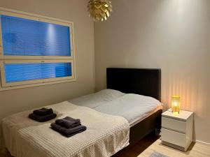 Villa Kataja with winter forest landscape and wi-fi