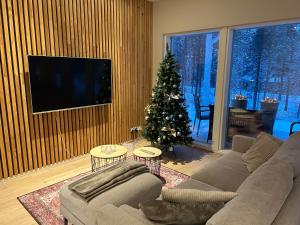 Villa Kataja with winter forest landscape and wi-fi