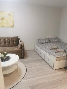 Buto nuoma Plungėje