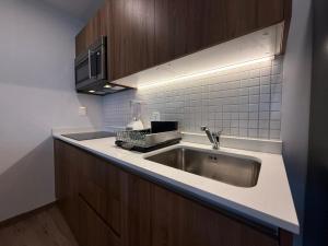 Beach Haus - Playacar The Leaf 16