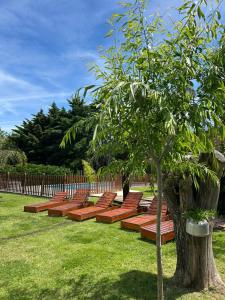 cabañas alpinas obligado