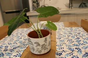 Davao Airport Transit House