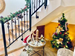 Lantia Rooftop House