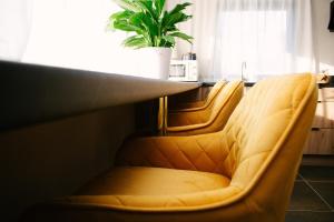 Connollys of the Lough