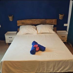 Horizon Blue GRAND Var