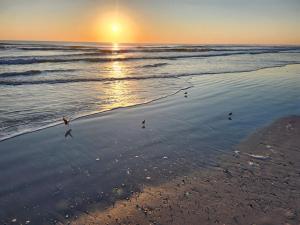 St Augustine Beach, Florida OVC-O14, 2 bedroom, 2 bathroom, Pet Friendly, Free Parking
