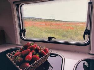 Tjaldstæði fyrir gistingu