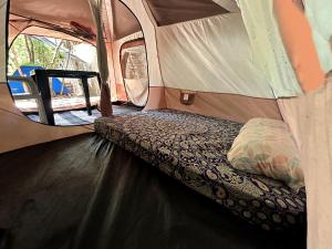 GaiaPipa ComunidArte