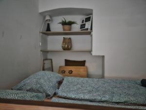 Economic flat near the Synagogue