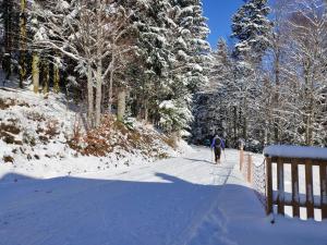 Gîte spacieux à 2 km des pistes de ski