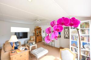 Charming Garden Cottage with Full Kitchen Walk to La Jolla Village & Beaches