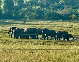 Nyota 11 - Jua Resort