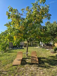 Apartmány pod pergolou