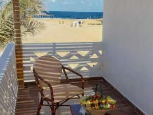 Beaches& suites& safari &expedition