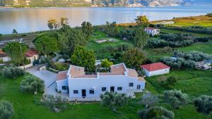 Vincenzo Villa Variko