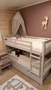 Arctic Giantlog Villa with private ice rink