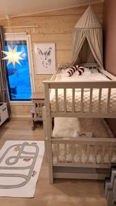 Arctic Giantlog Villa with private ice rink