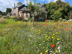 Maison de charme dans un Écrin de Verdure et calme