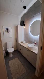 Arctic Giantlog Villa with private ice rink