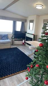 Ocean Bliss-Beach Front - Lux- Sea View- 3-Bedroom Caravan- 8 Sleeps