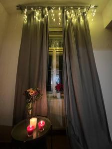 Cozy Garden Apartment in the heart of Prague