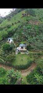 Montecafé Jardín