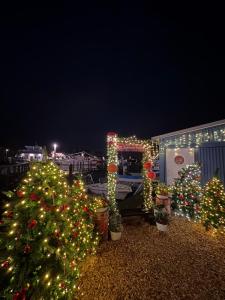 Möwennest und Fischerstuv