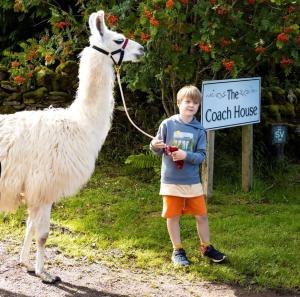 The Coach House at Durhamhill with llamas & games room mini cinema
