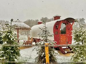 Magnolia Hoeve - Unieke Bestemming voor Paardenliefhebbers en Bijzondere Overnachtingen in de natuur