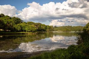 Refúgio de Luxo e Piscina à beira do Passaúna