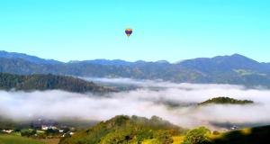 Sttupa Estate Napa Valley