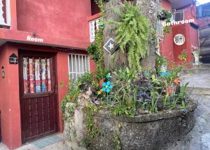 Habitación Casa Zoila